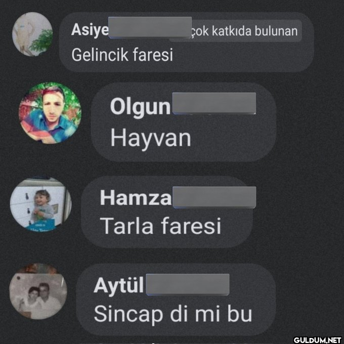 Yine bir kuş spesiyaliyle:...