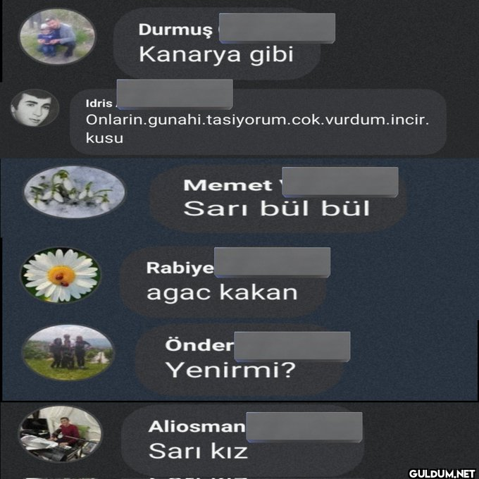 Yine bir kuş spesiyaliyle:...