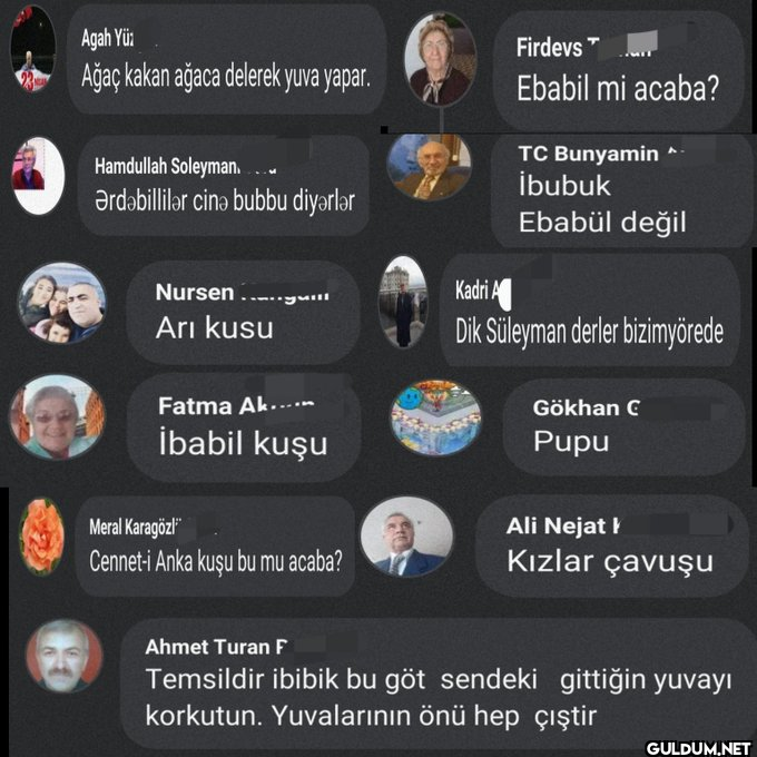 Yeni bölümümüzde kuşçuları...