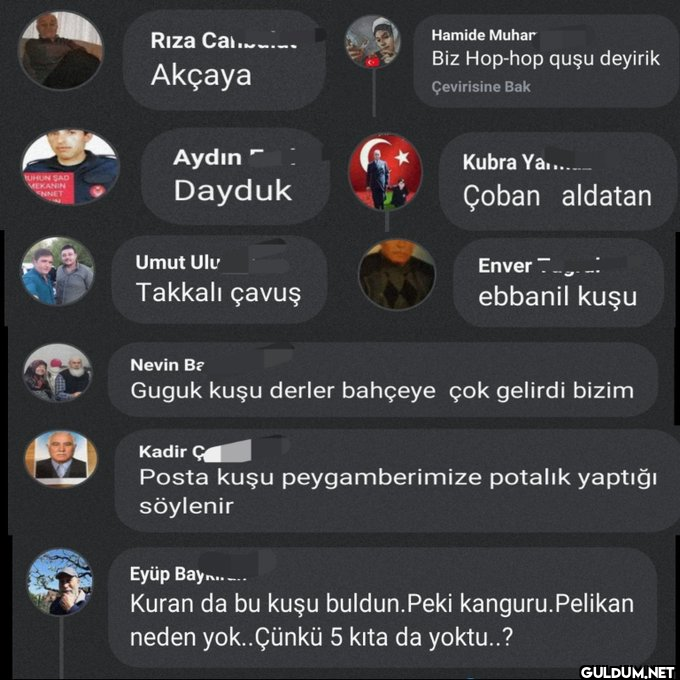 Yeni bölümümüzde kuşçuları...