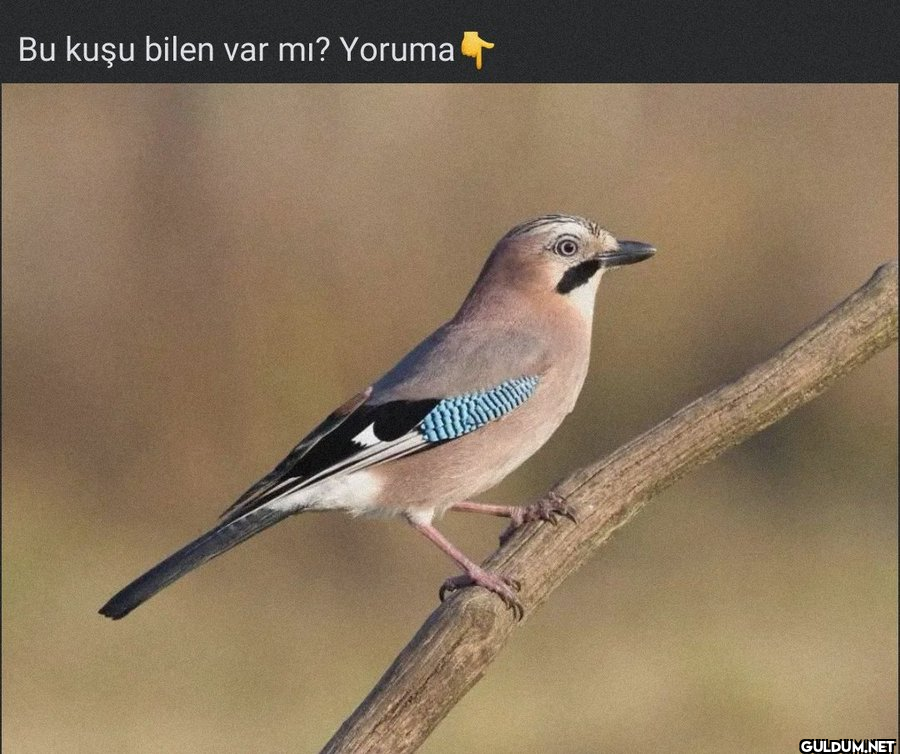 Popular post