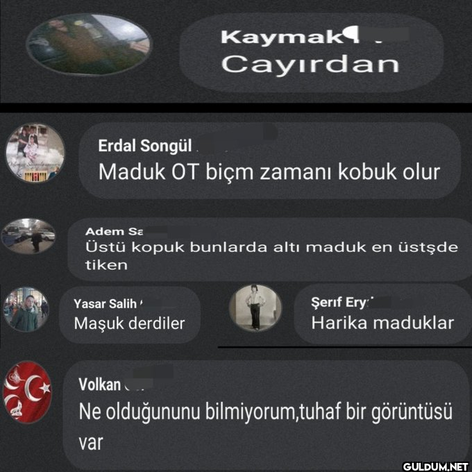 SİZİN ORDA NE DERLER? ...