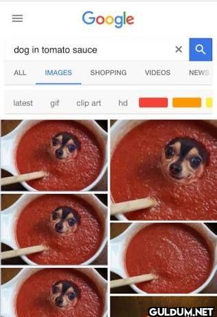 ︎ ︎ ︎ ︎    = Google dog in...