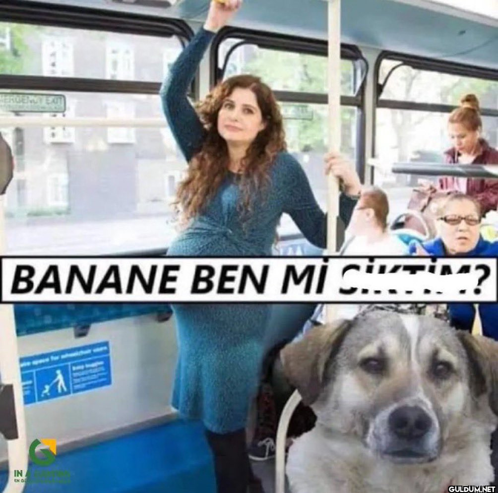 BANANE BEN Mİ ? IN EN G www