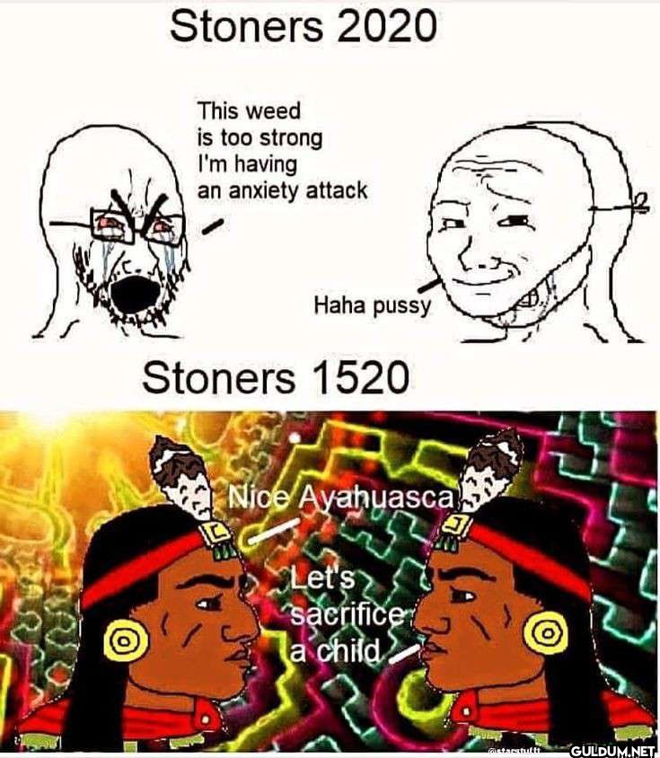 Stoners 2020 This weed is...