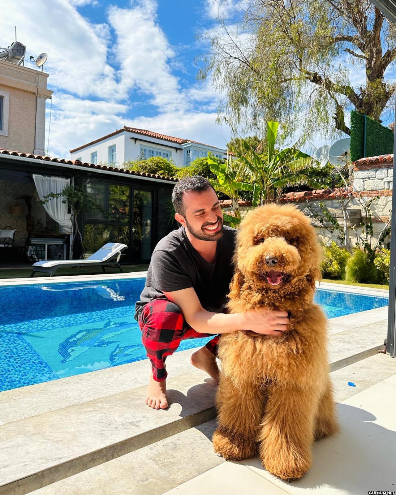 Hoopp bayram şekeri🍬🐶 ⏩⏩