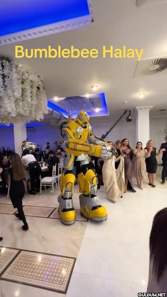 hayır halay çeken robot...