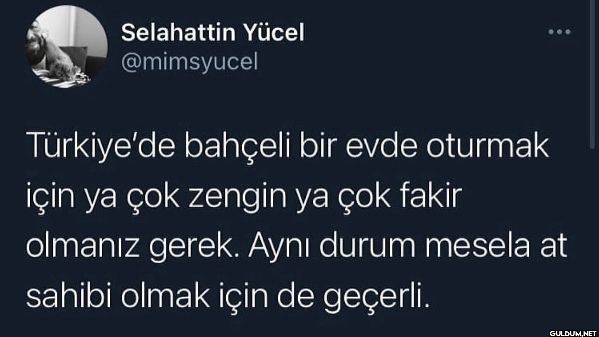 Selahattin Yücel...
