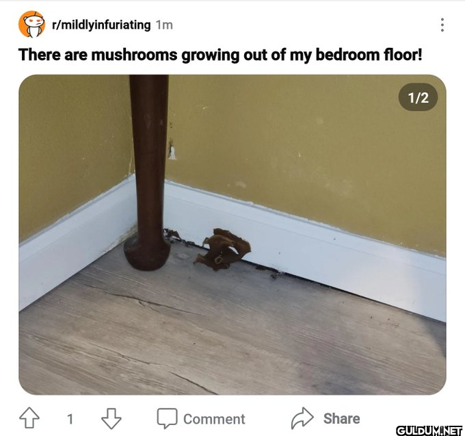 r/mildlyinfuriating 1m...
