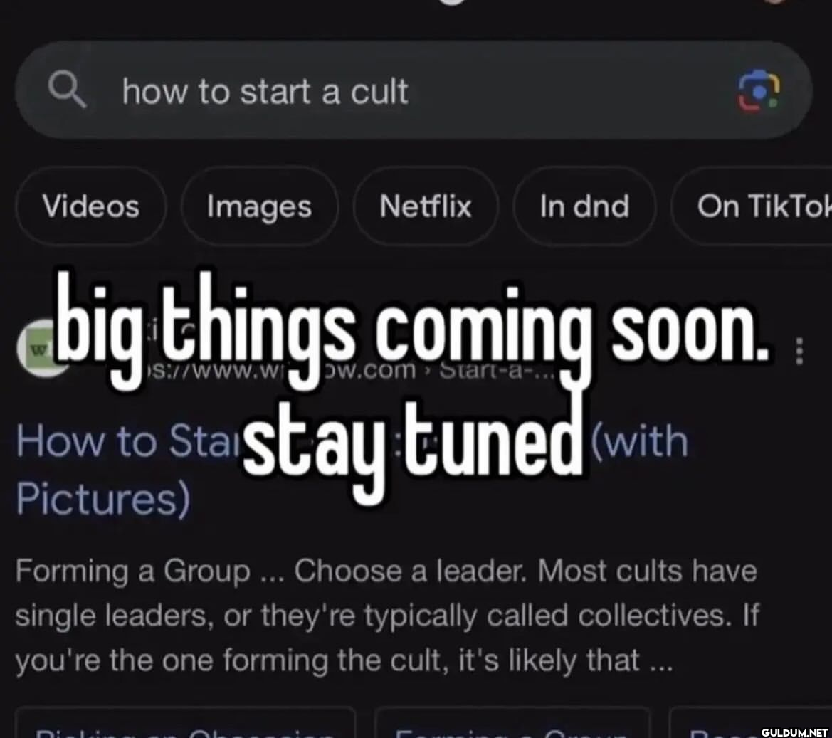 Q how to start a cult...