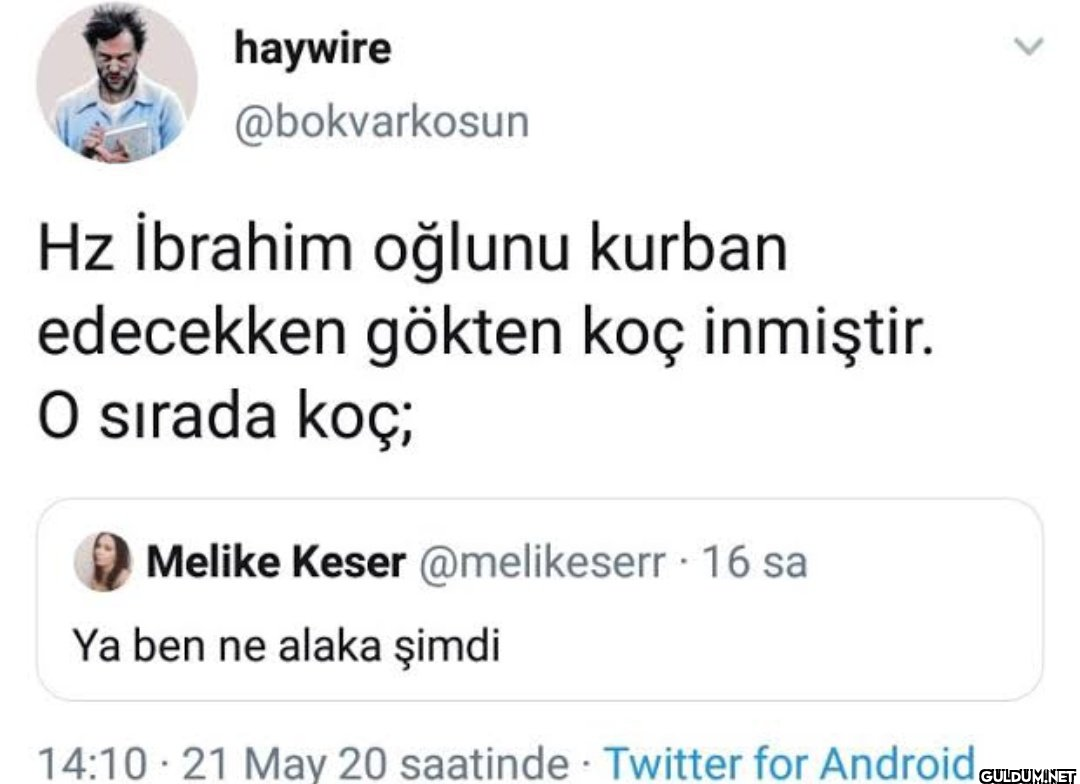 > haywire @bokvarkosun Hz...