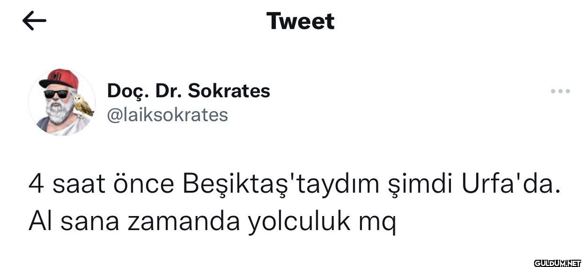 ← Doç. Dr. Sokrates...