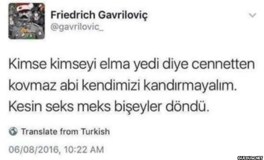 Friedrich Gavriloviç...