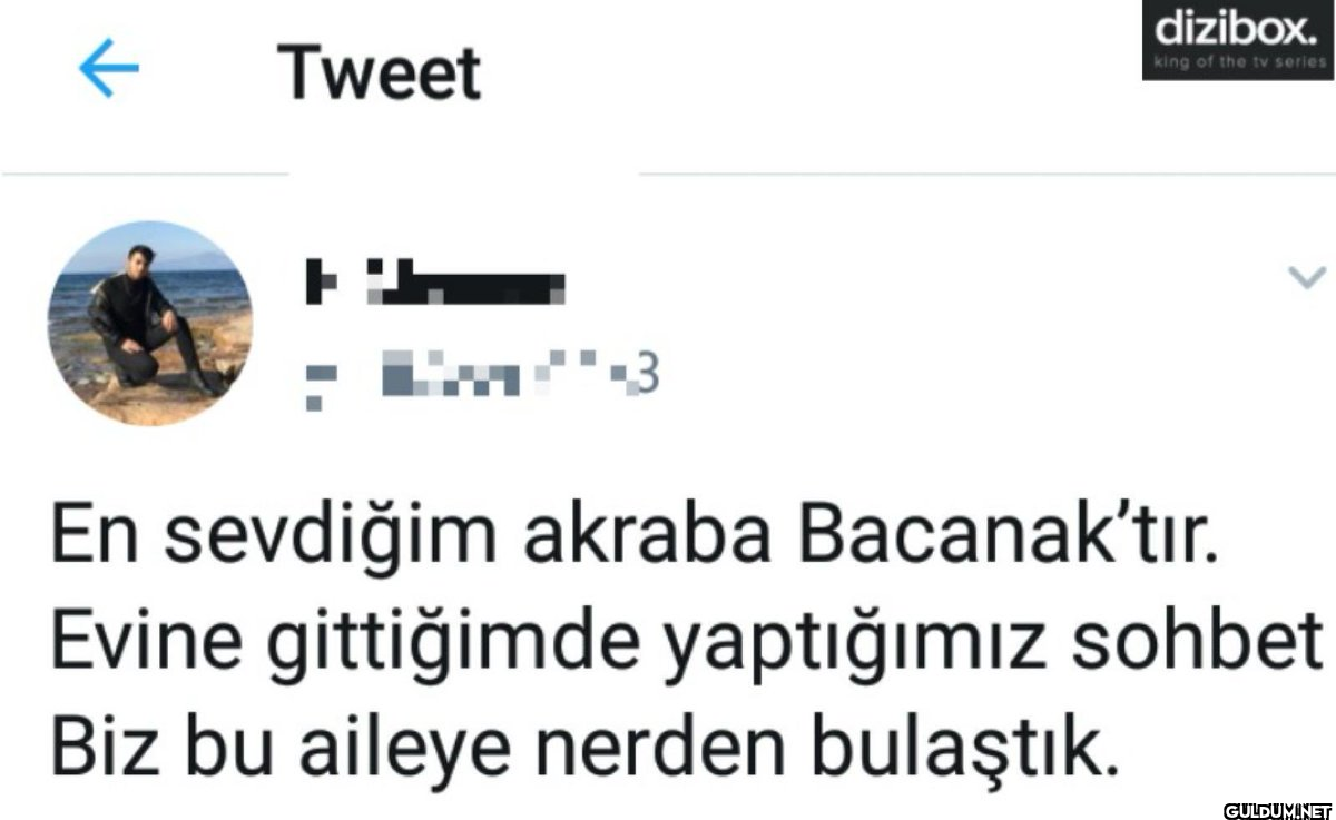 ← Tweet dizibox. king of...