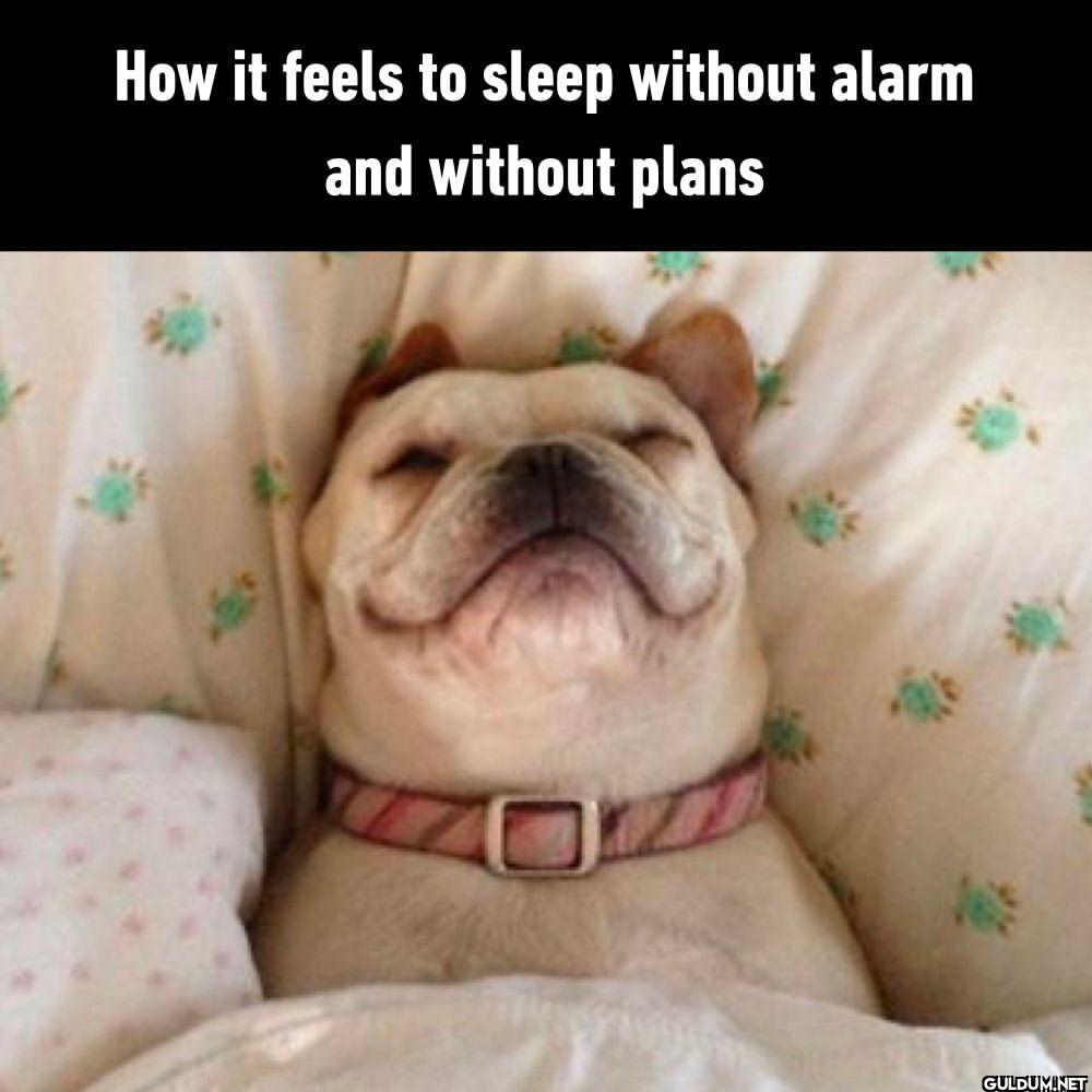 so peaceful  - #sleep...