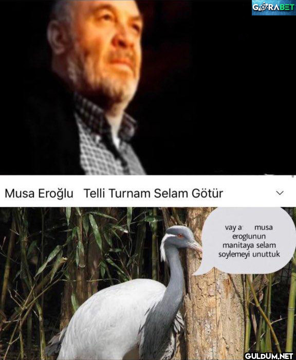 Musa Eroğlu Telli Turnam...