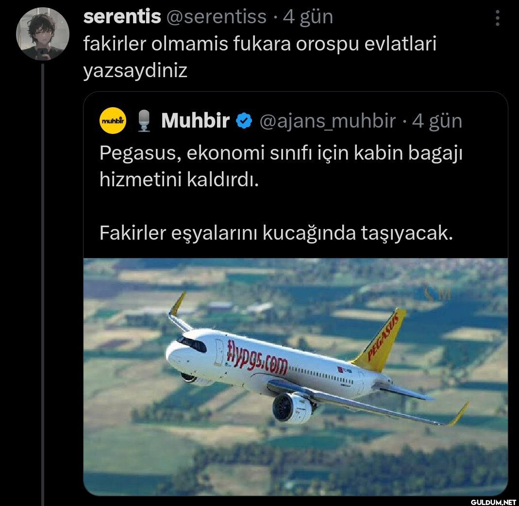 serentis @serentiss • 4...