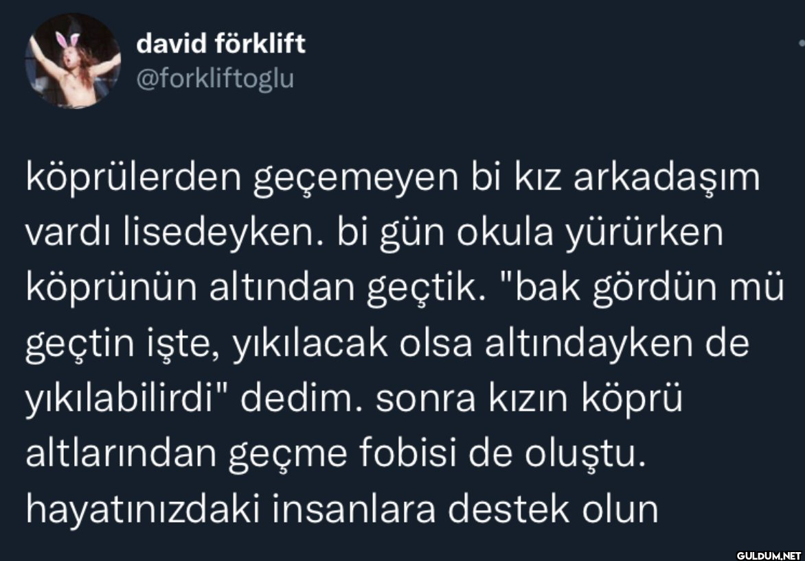 david förklift...