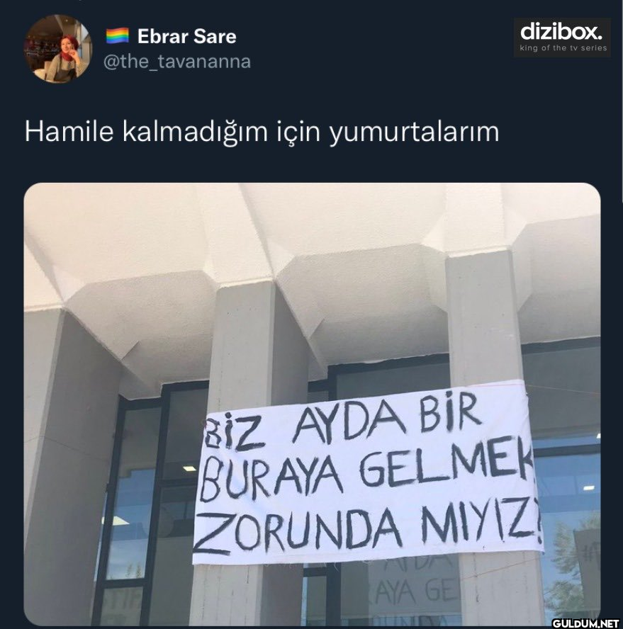 Ebrar Sare @the_tavananna...