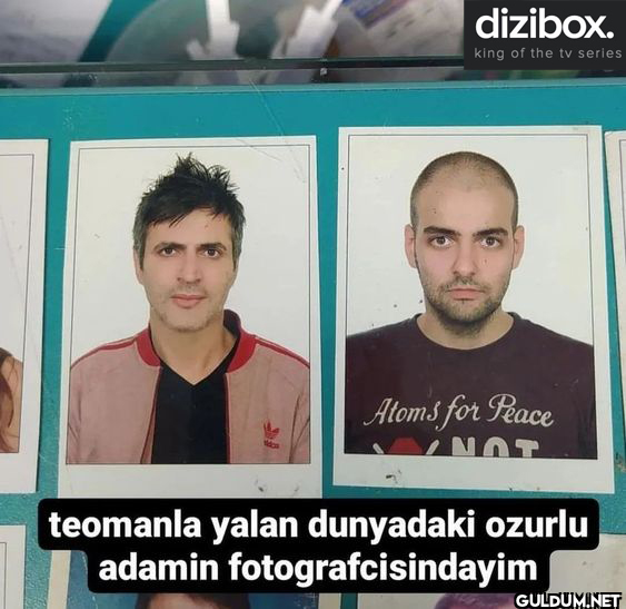 dizibox. king of the tv...
