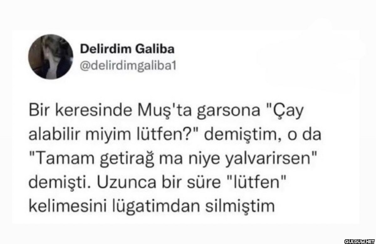 Delirdim Galiba...