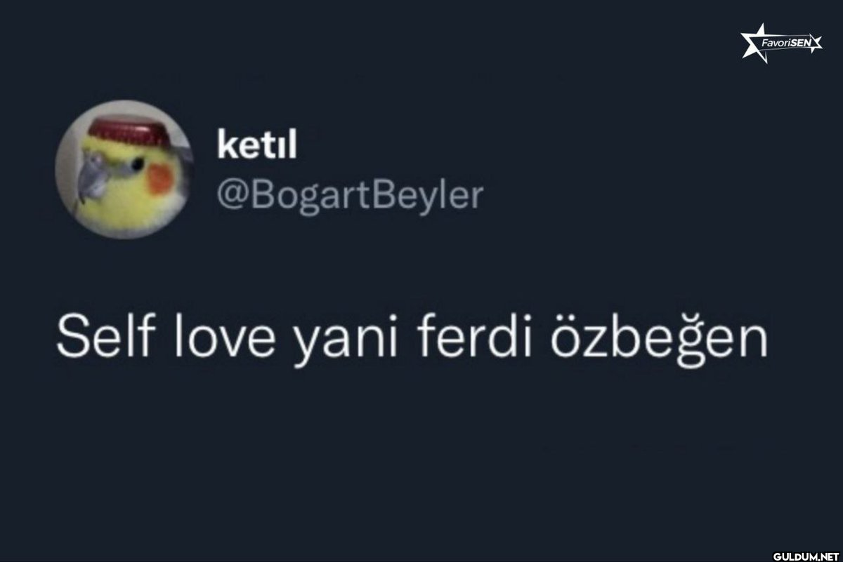 ketil @Bogart Beyler Self...