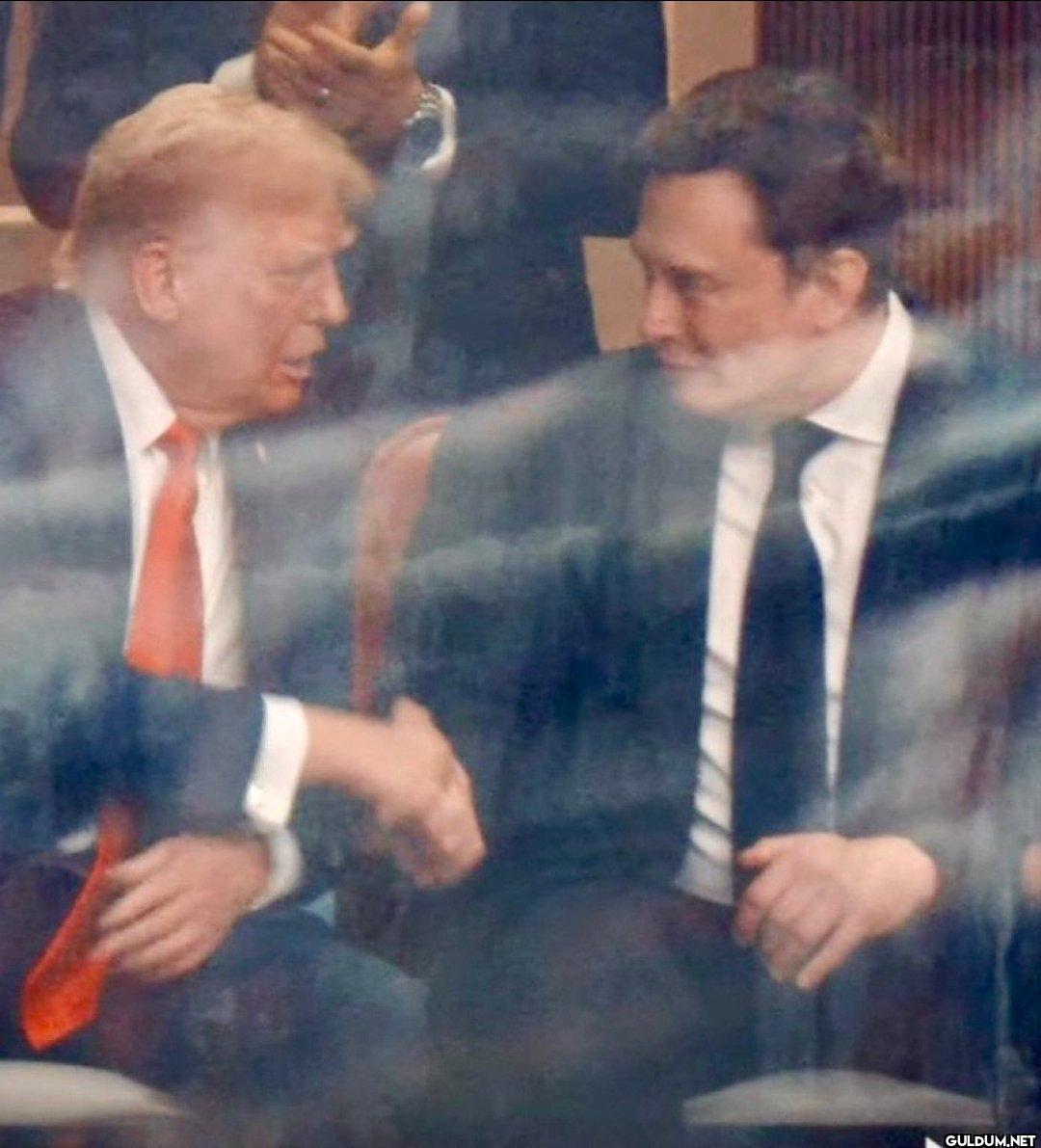 Reunited 🇺🇲