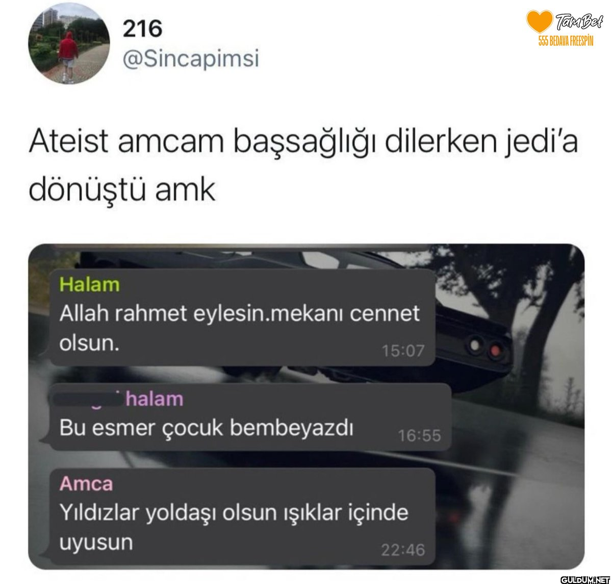 hdjdjkdkskskdkks  216...