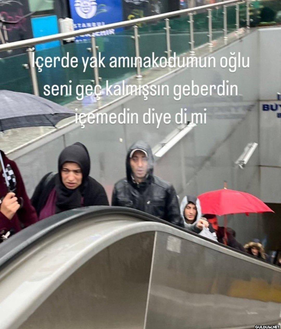 Avusturya  STANBUL CHIR...