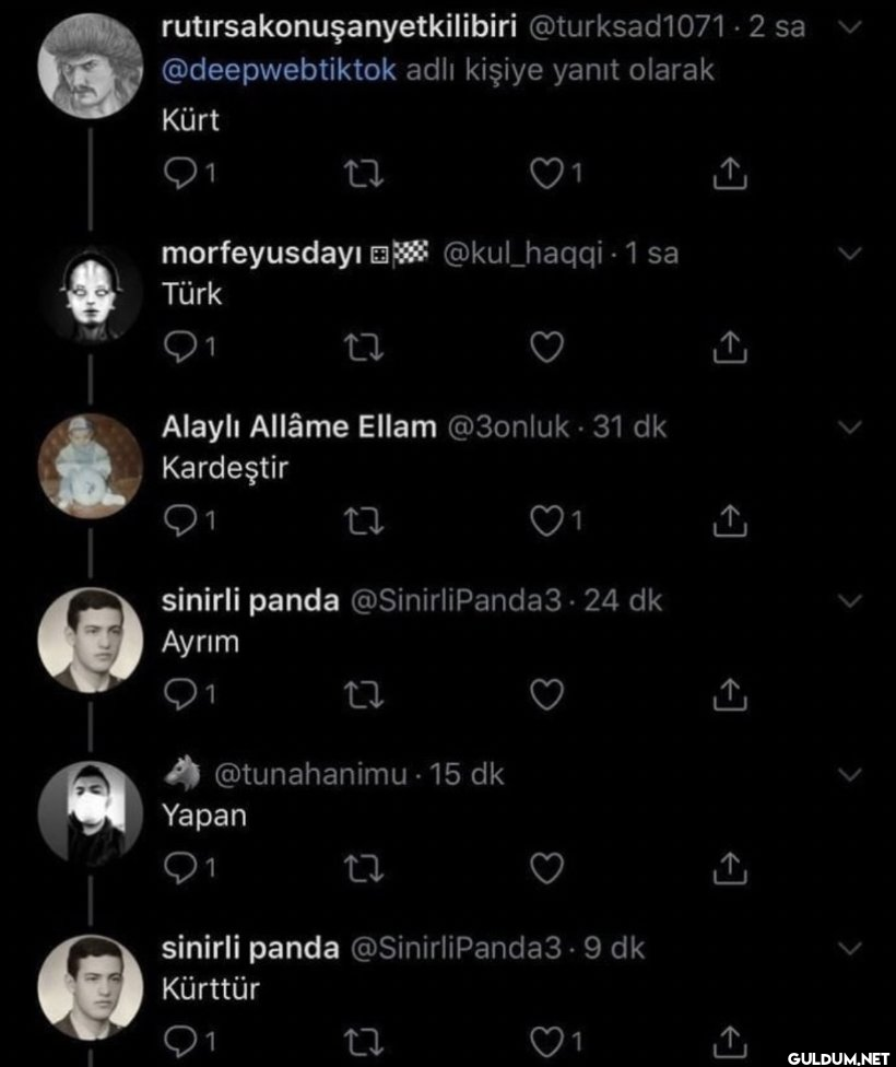 Türk Kürt kardeştir ayrım...