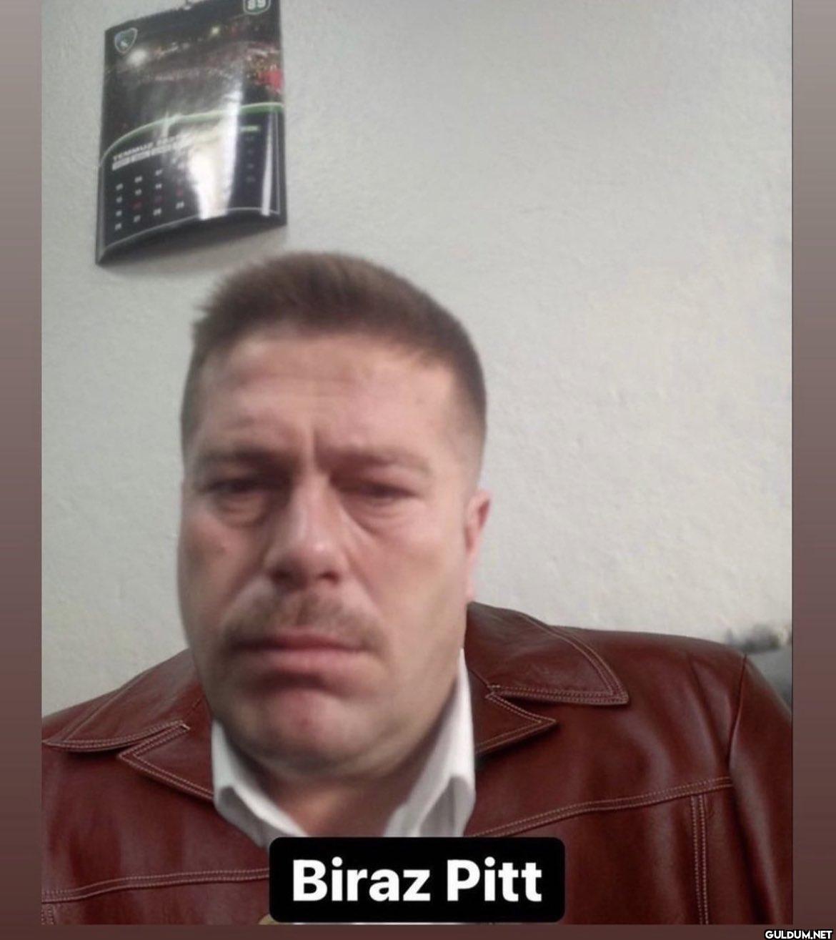 Biraz Pitt