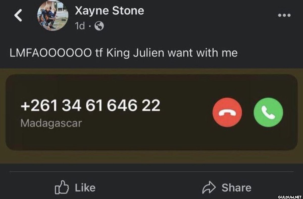 Xayne Stone 1d. LMFAOOOOOO...