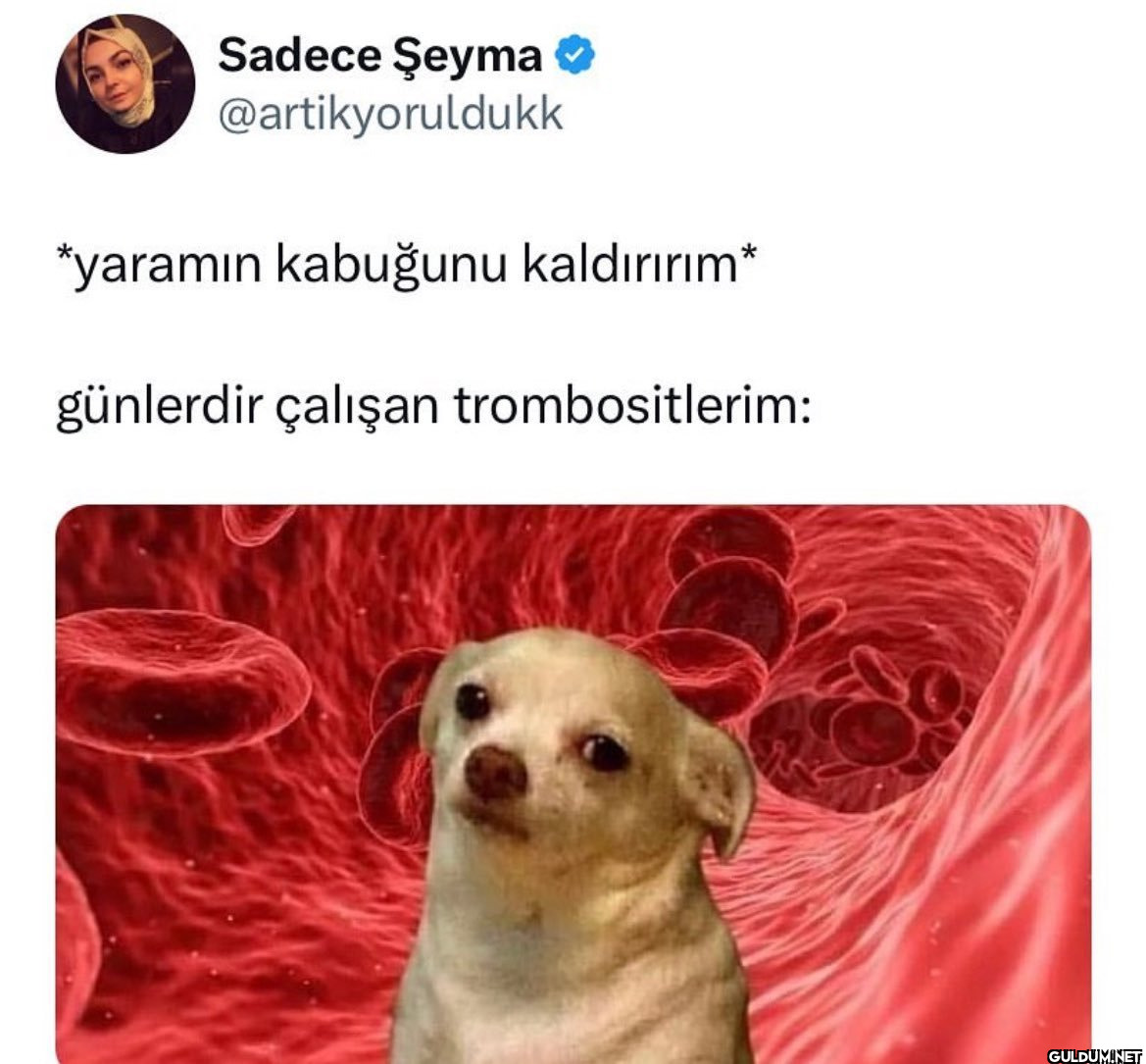 Sadece Şeyma...