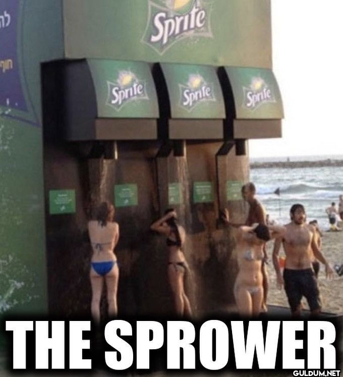 THE SPROWER