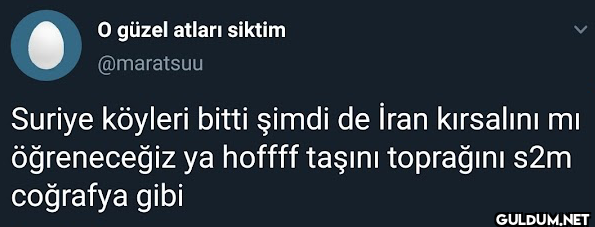 O güzel atları siktim...