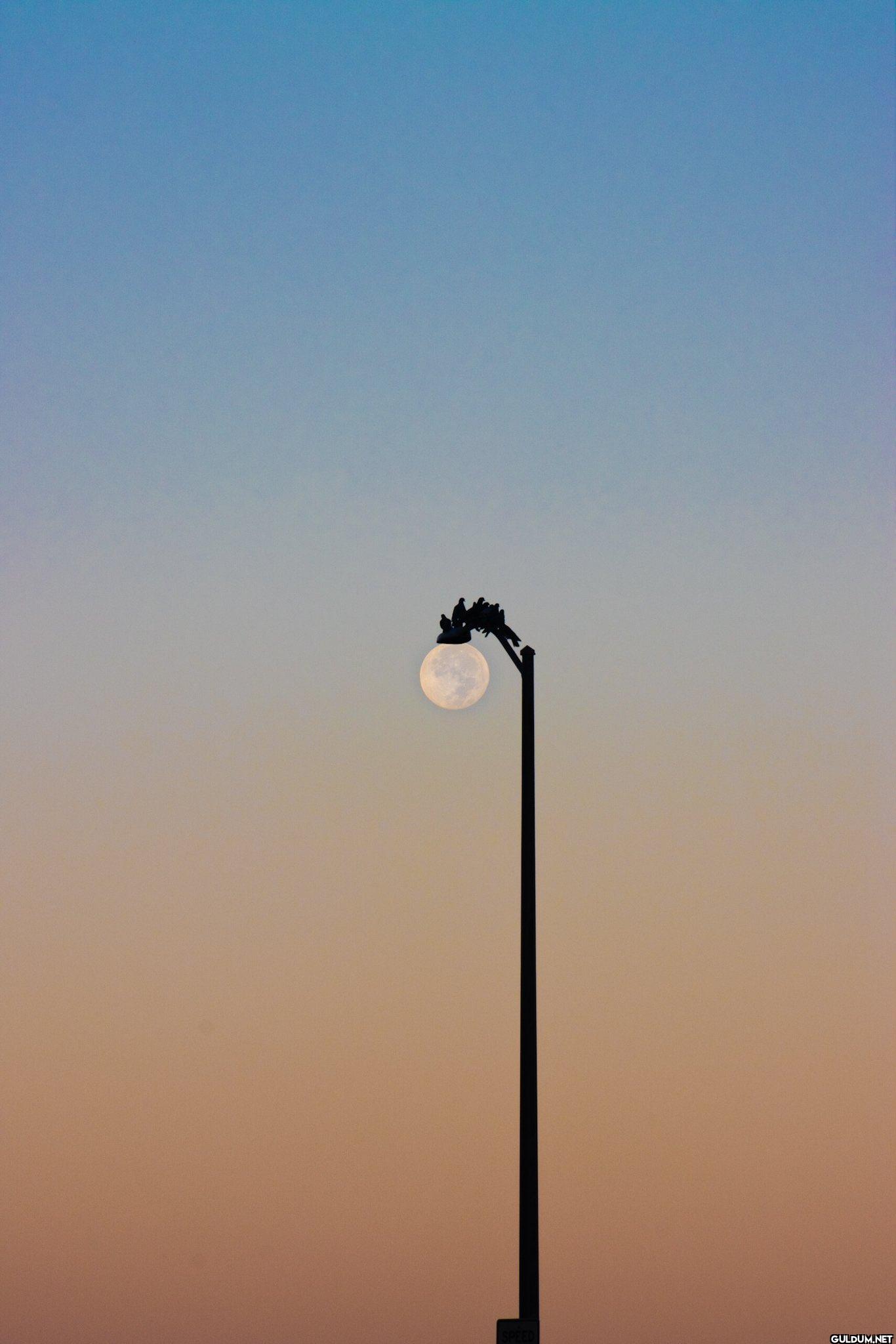 23. Right Place Right Time