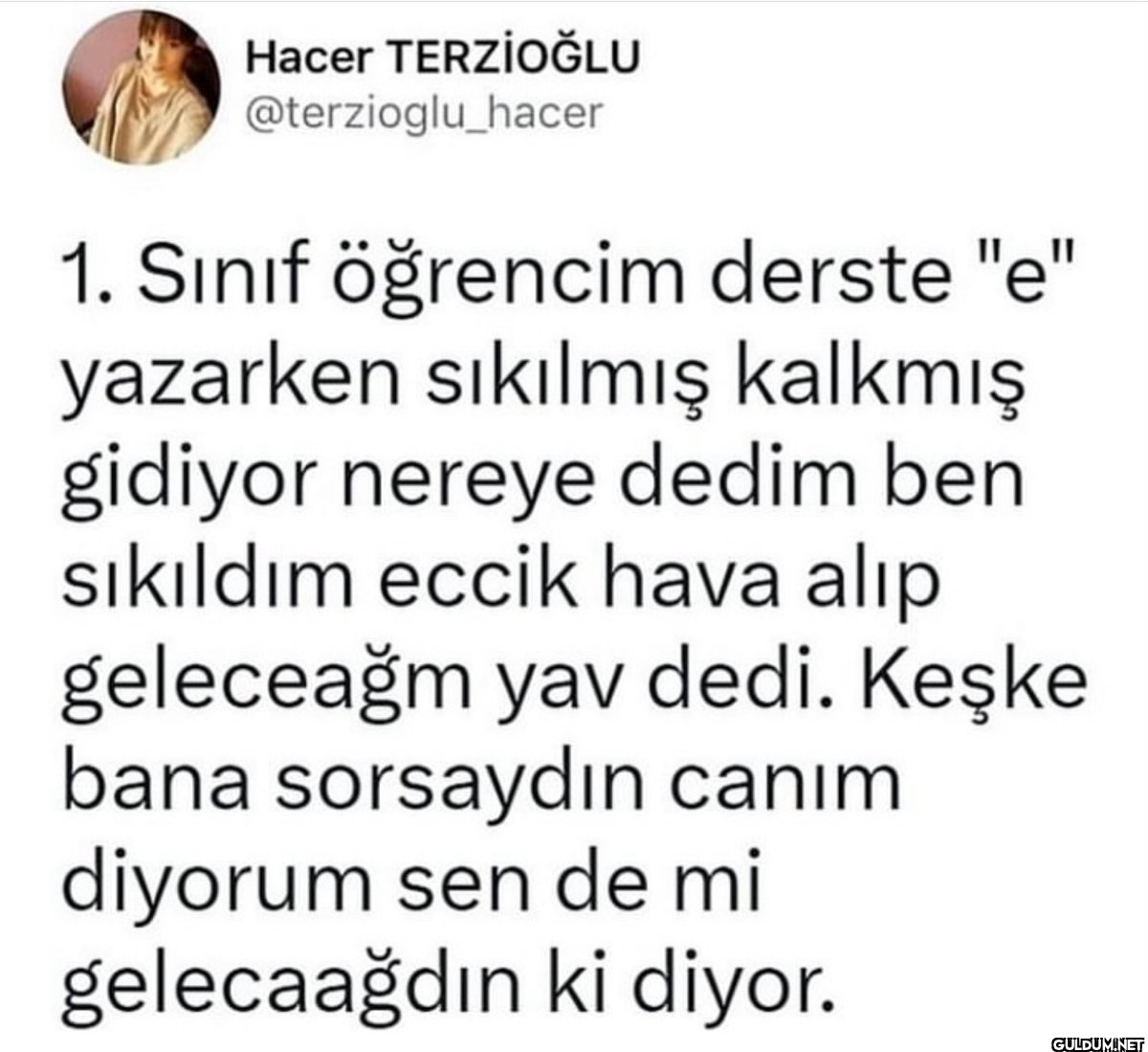 Hacer TERZİOĞLU...