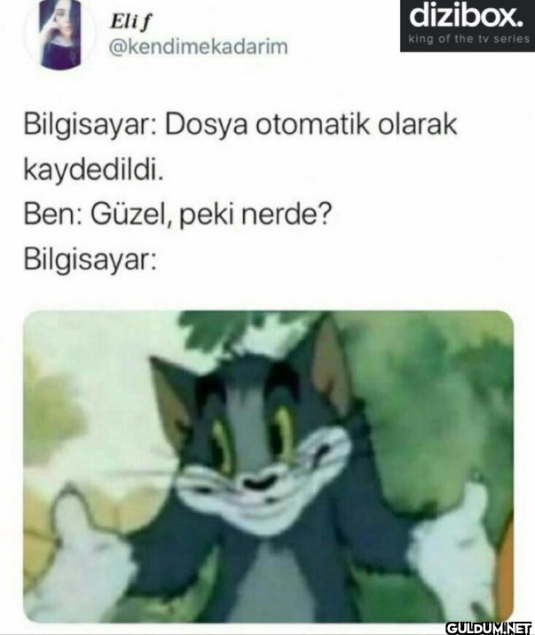 Elif dizibox. king of the...