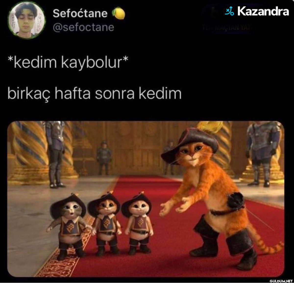 Sefoćtane @sefoctane...