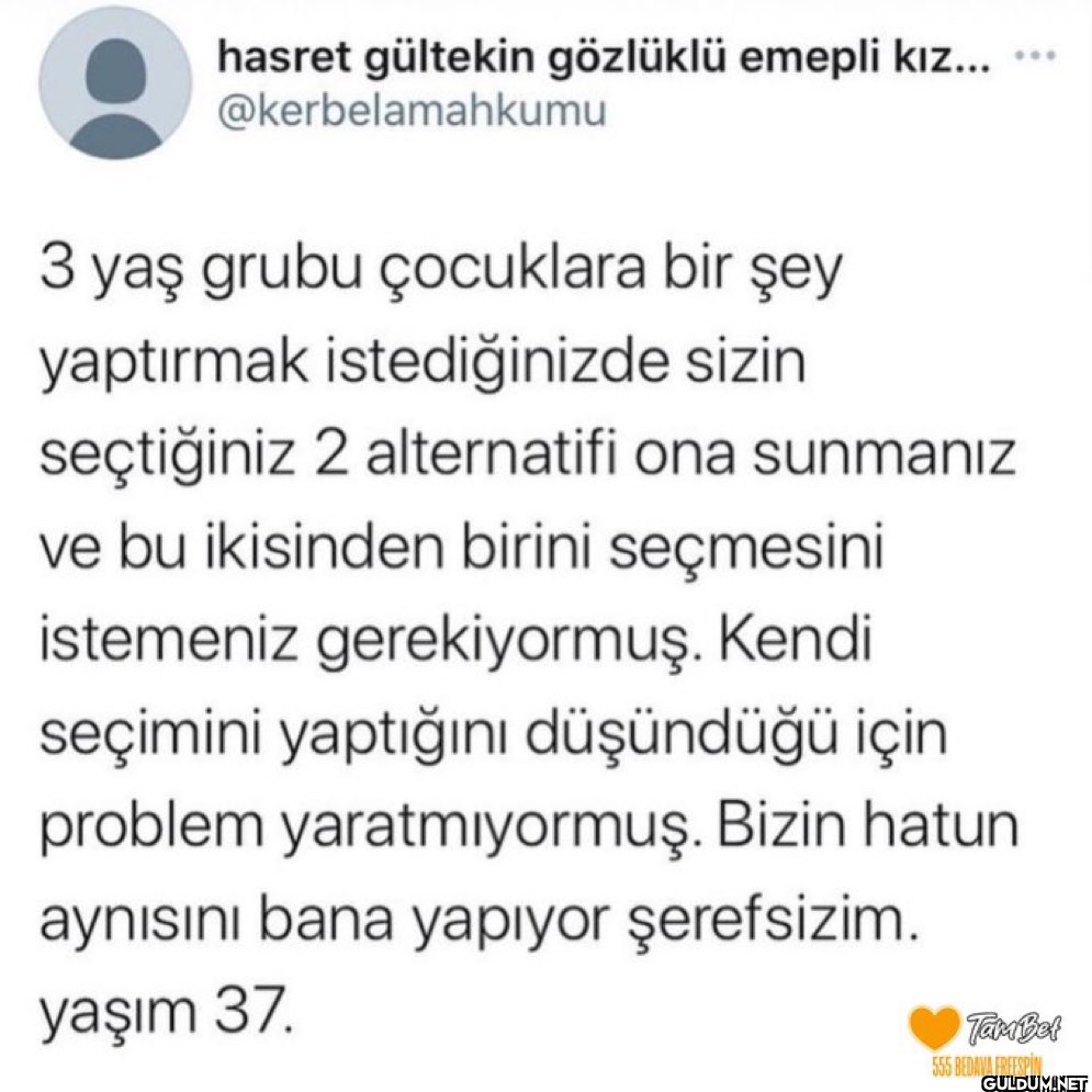 hasret gültekin gözlüklü...