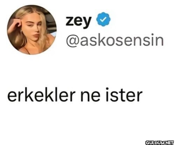 alıntılayın  zey...