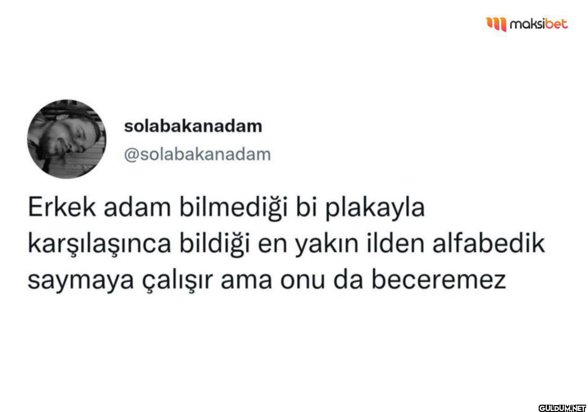 maksibet solabakanadam...