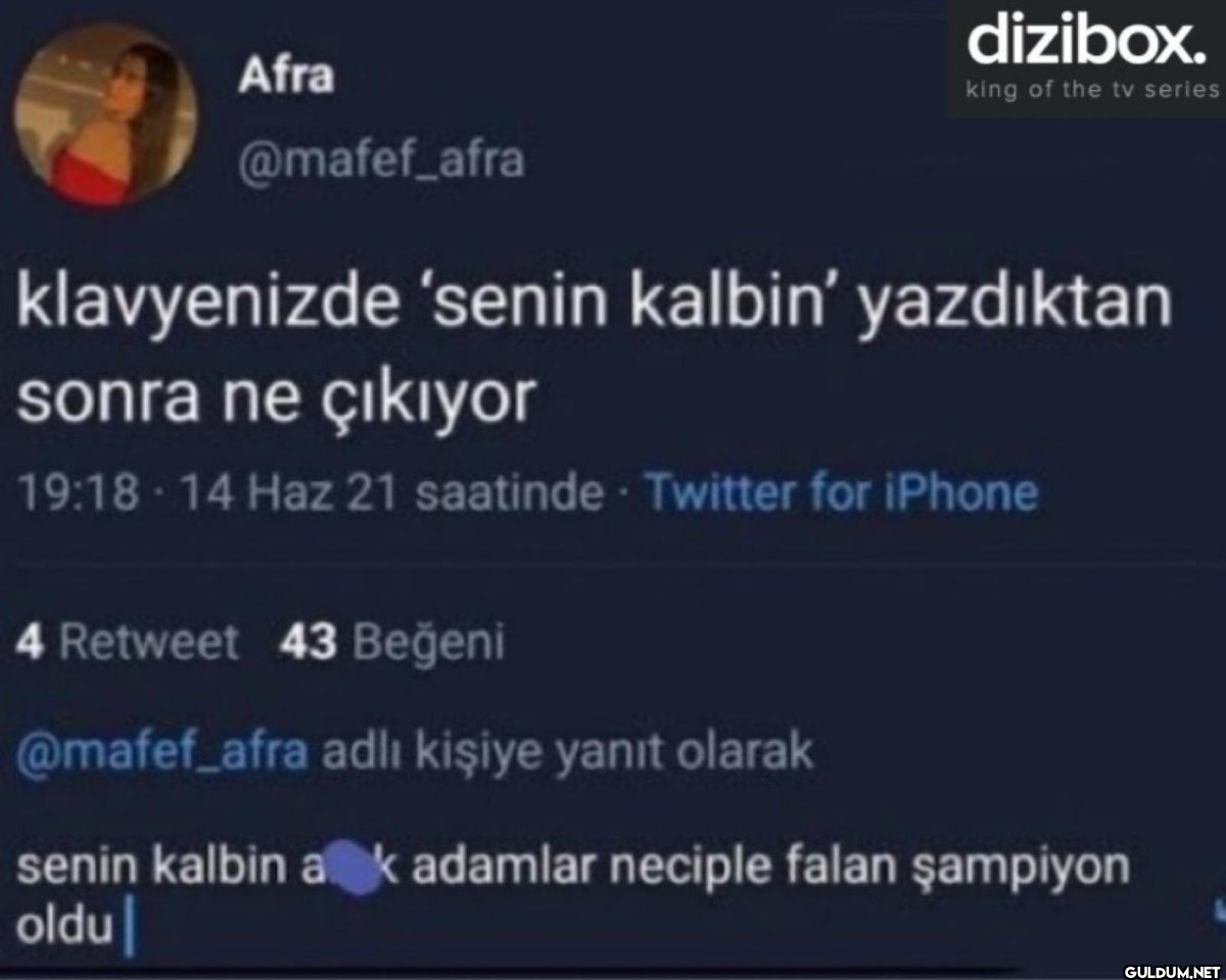 Afra dizibox. king of the...