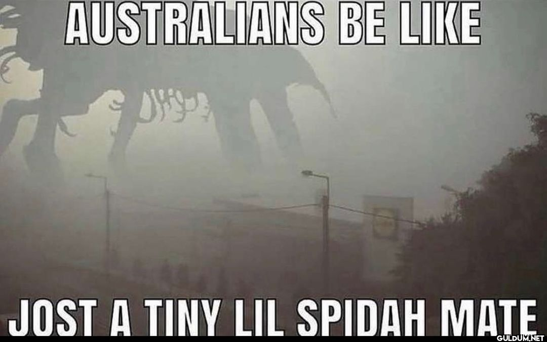 AUSTRALIANS BE LIKE JOST A...