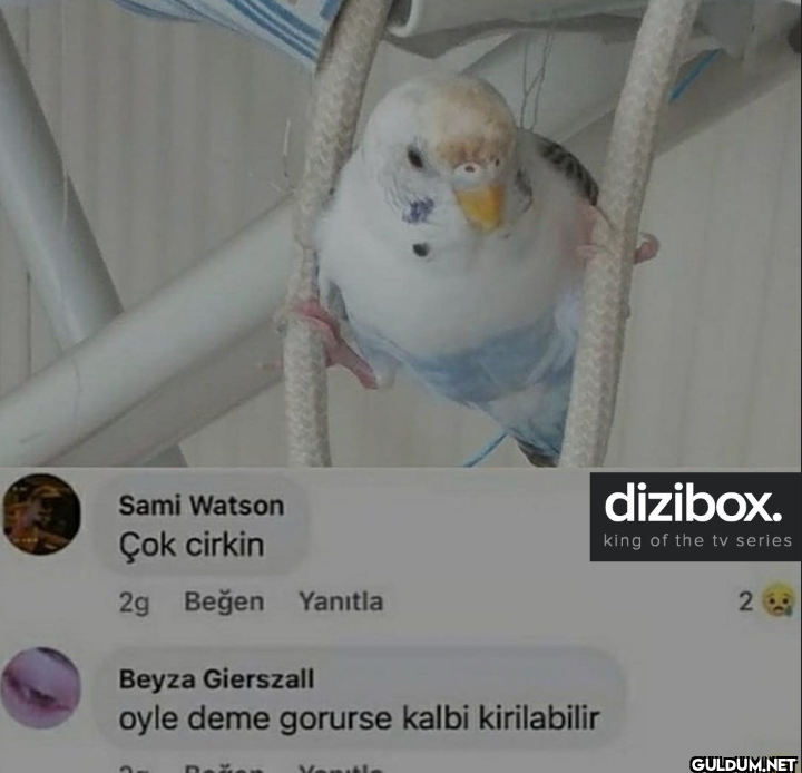 Sami Watson Çok cirkin 2g...
