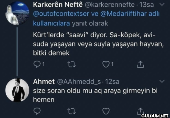 Türklər su itinǝ fok...