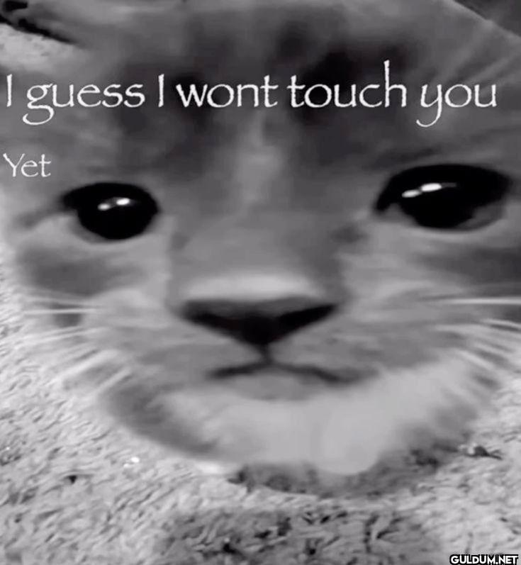 I guess I wont touch you Yet