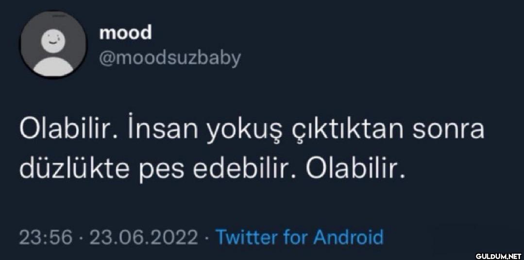 Olabilir. İnsan yokuş...