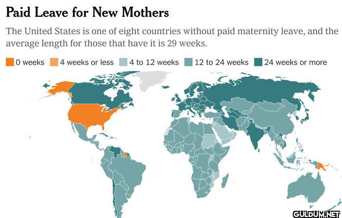 13. Countries Which Offer...
