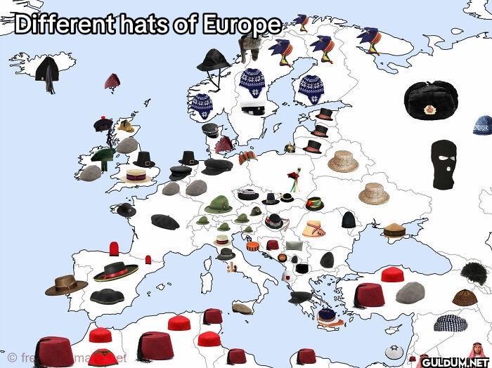 19. Different hats of...